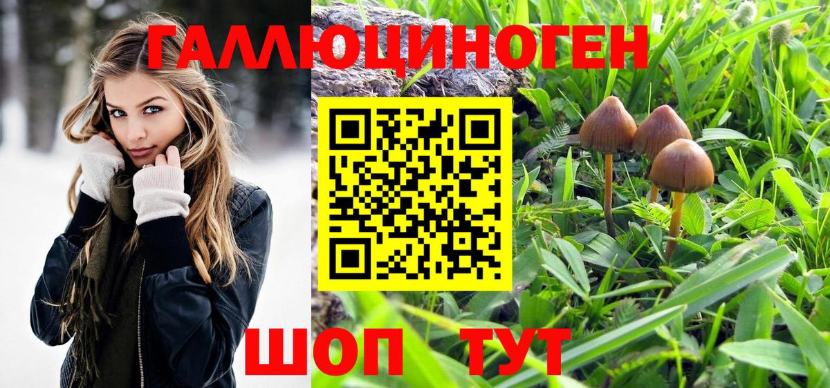 Галлюциногенные грибы ЛСД Павловский Посад