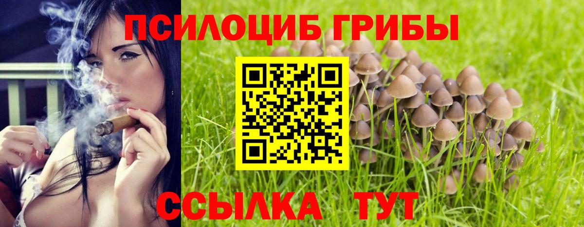Меф   Марихуана  A PVP СОЛЬ кристаллы  Гашиш  Бошки Шишки  Павловский Посад  Вход с VPN 