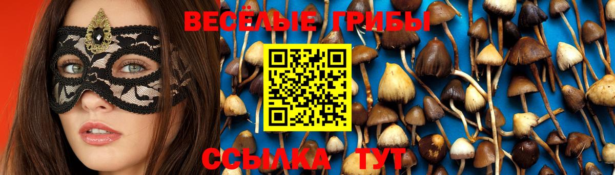 Псилоцибиновые грибы Cubensis  Вход с VPN  Павловский Посад  Галлюциногенные грибы Magic Shrooms 
